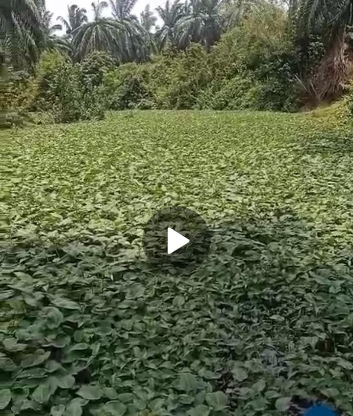 IMG 20261001 WA0157